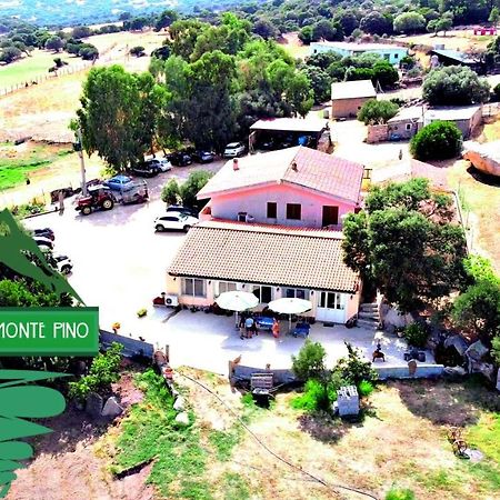 Agriturismo Monte Pino Telti Exterior photo